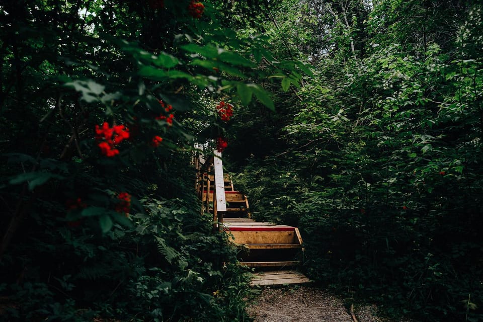 Spring, Natural landscape, Garden