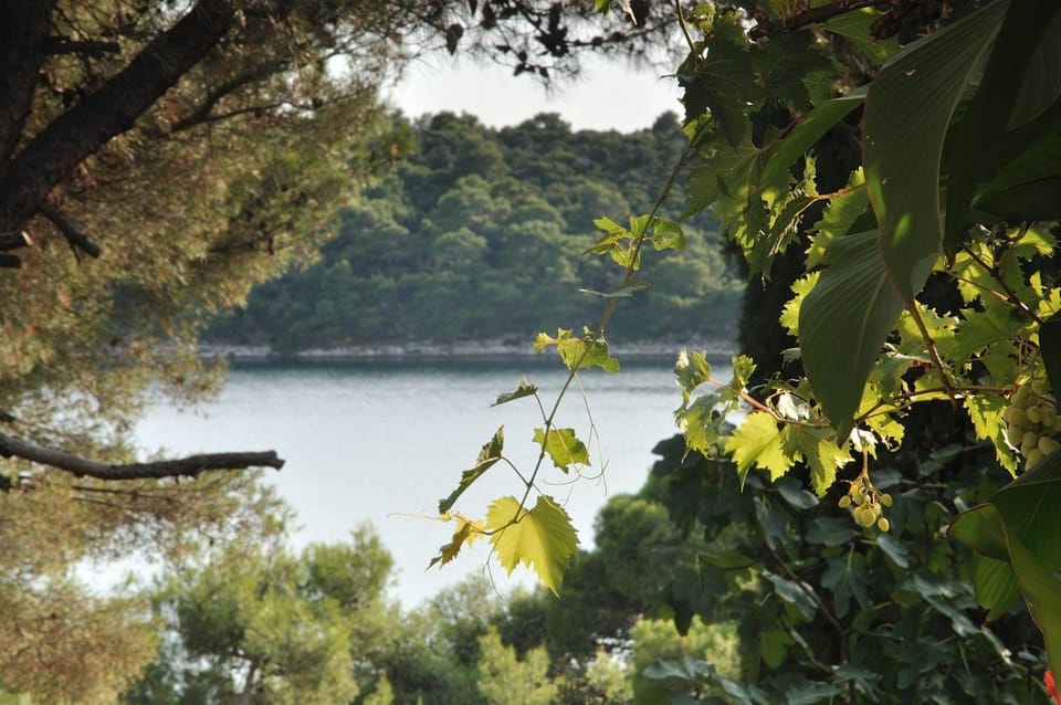 Luka Apartment in Mali Losinj