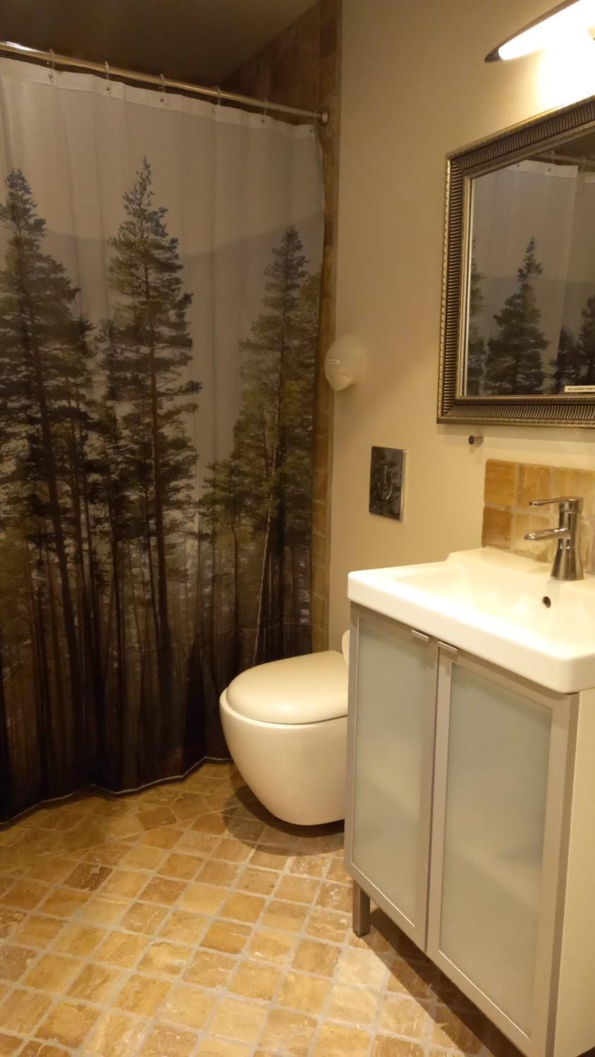 Toilet, Bathroom