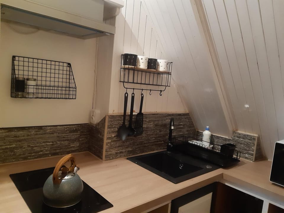 Willa u Kasi Vacation rental in Zakopane