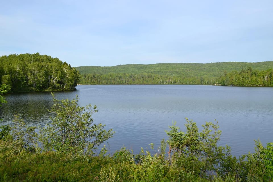 Natural landscape