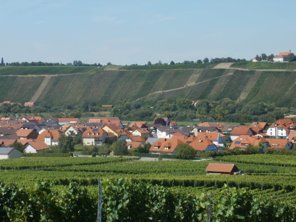 City view, Garden view