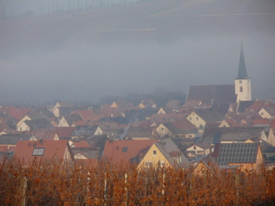 City view, Landmark view