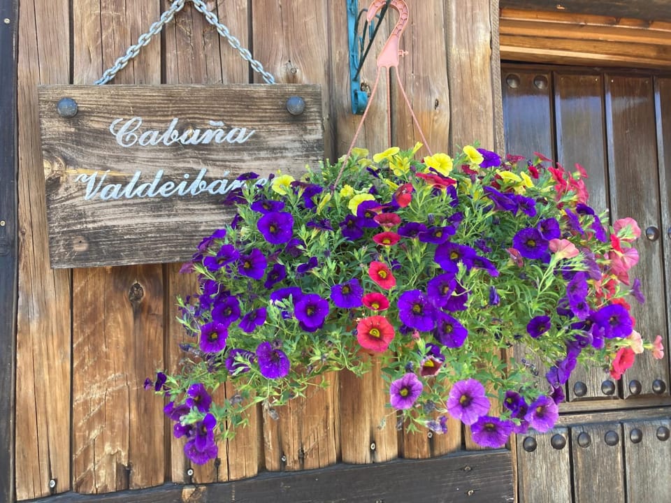 El Rincon del Cerrillo Campground/ 
RV Resort in Castile-La Mancha
