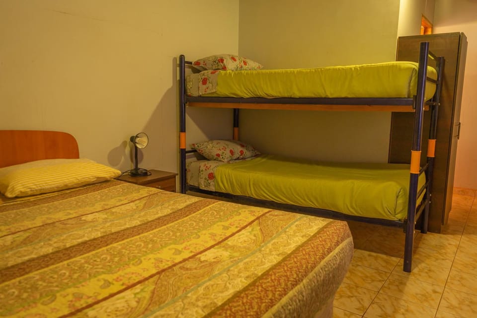 Bed, Photo of the whole room, Bedroom, bunk bed