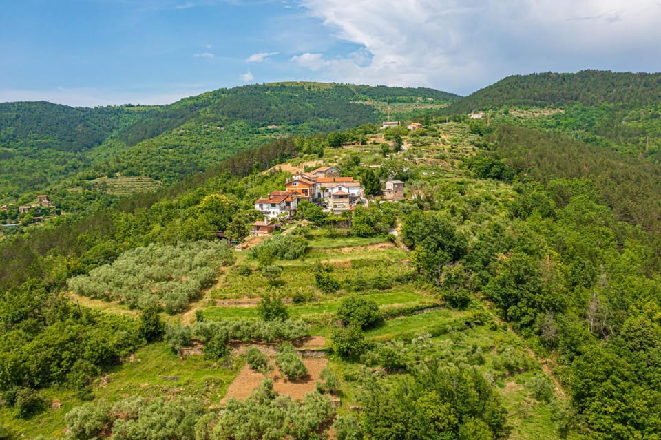 Holiday Home Belveder Motovun with heated pool House in Istria County
