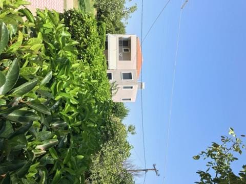 Perivoli House A House in Decentralized Administration of the Aegean