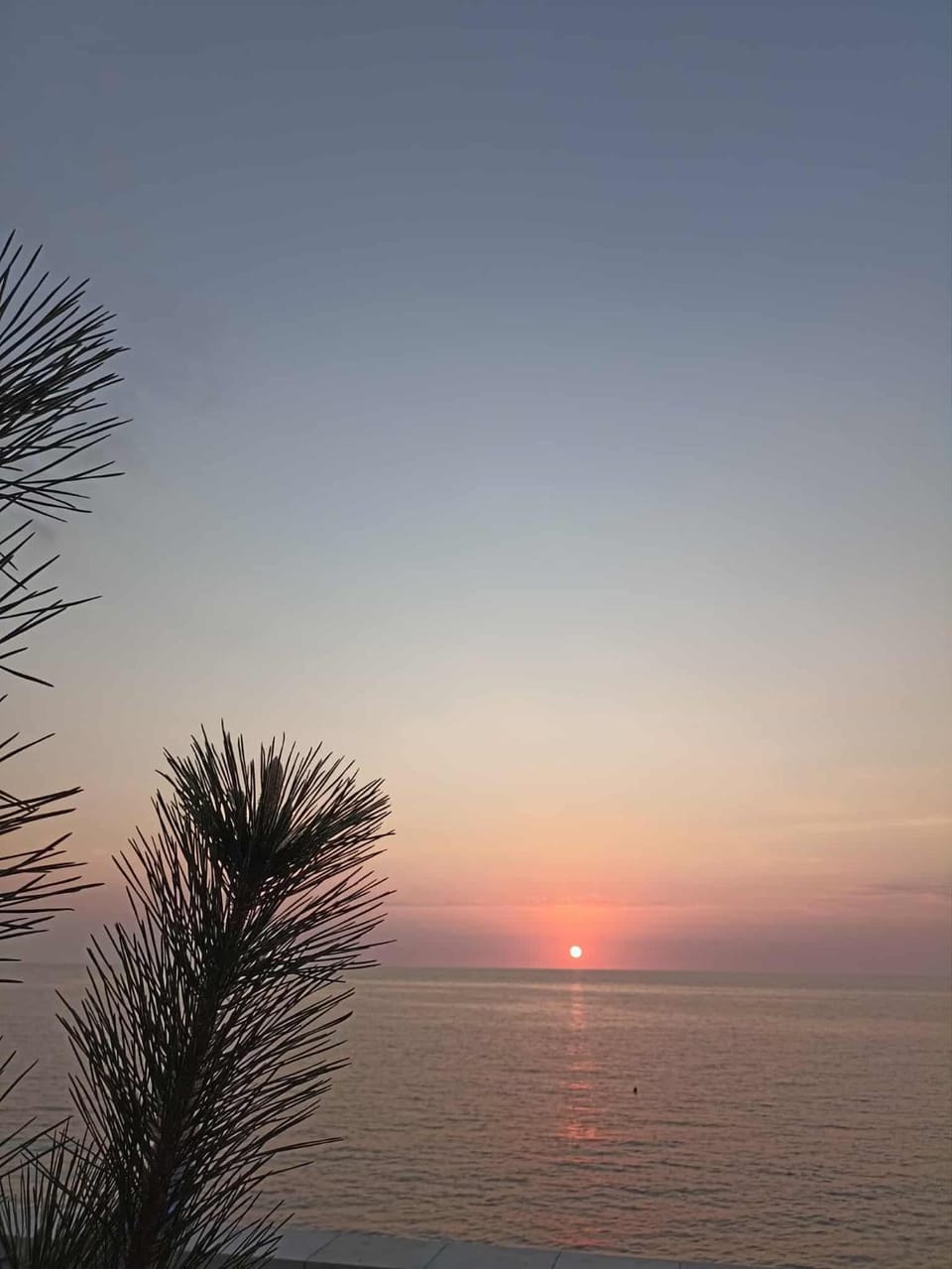 Toka Apartment in Adjara, Georgia