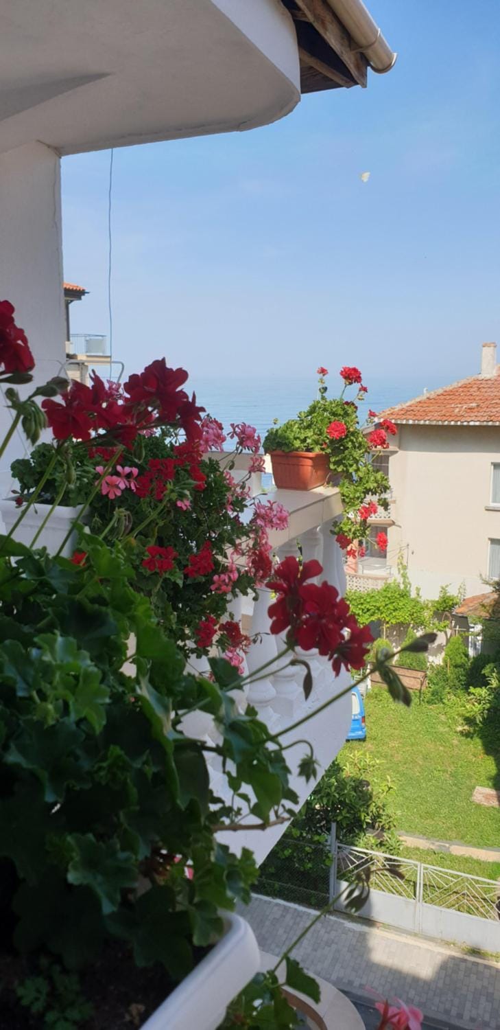 Primorsko Apartments Apartment in Burgas Province