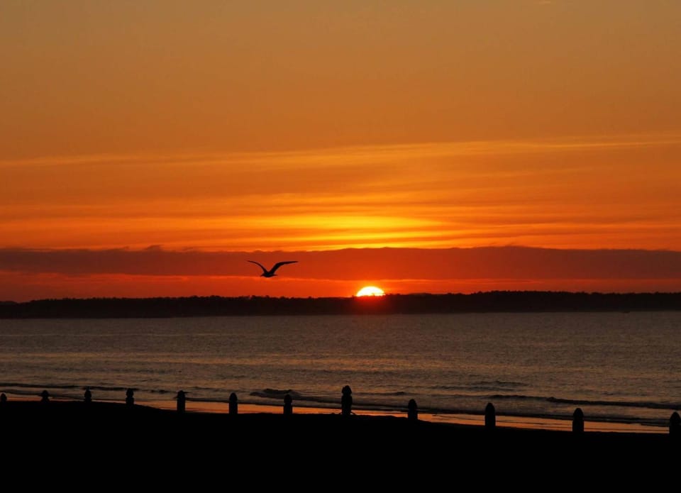 Natural landscape, Beach, Sunrise