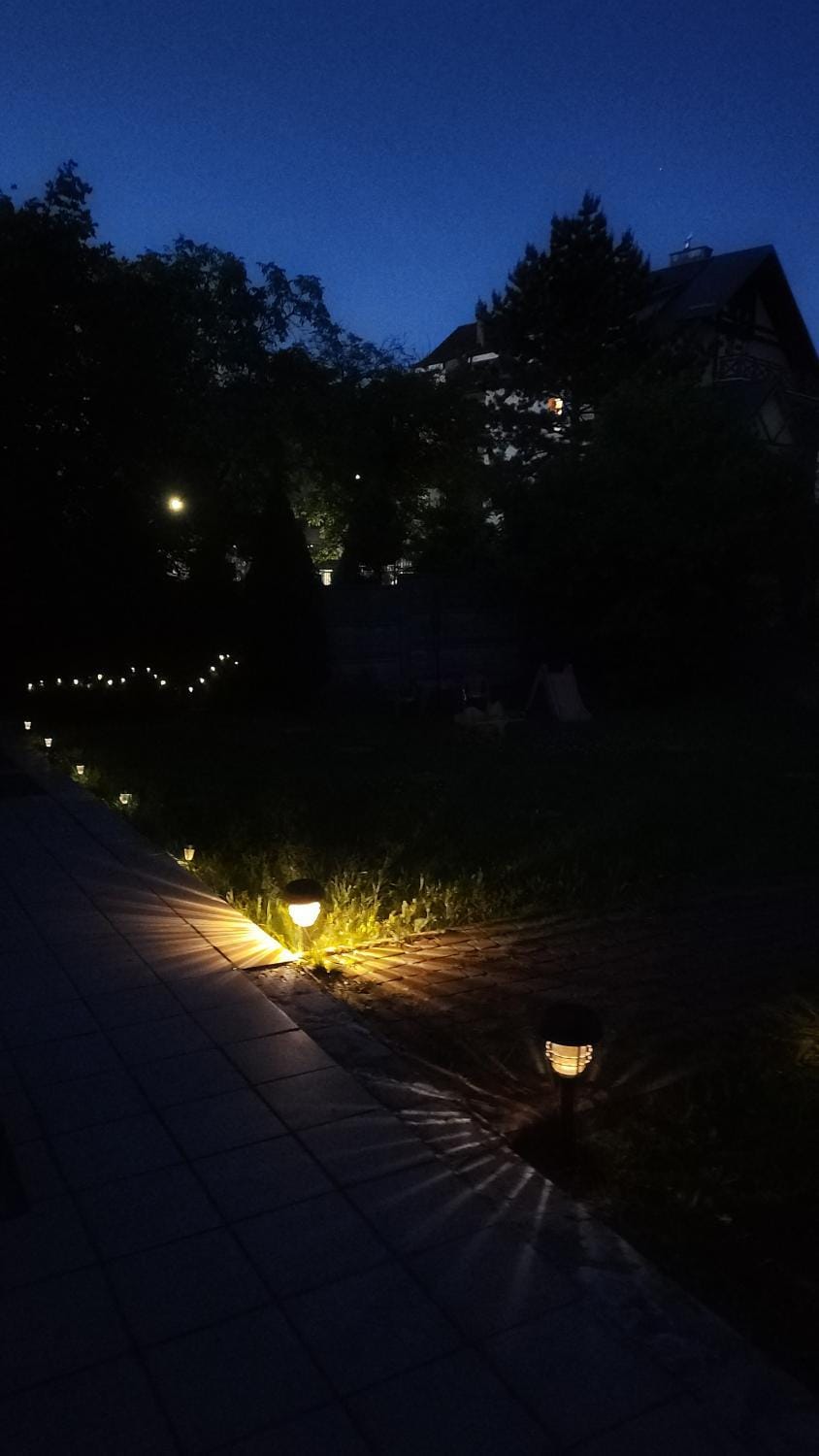 Night, Natural landscape, Garden
