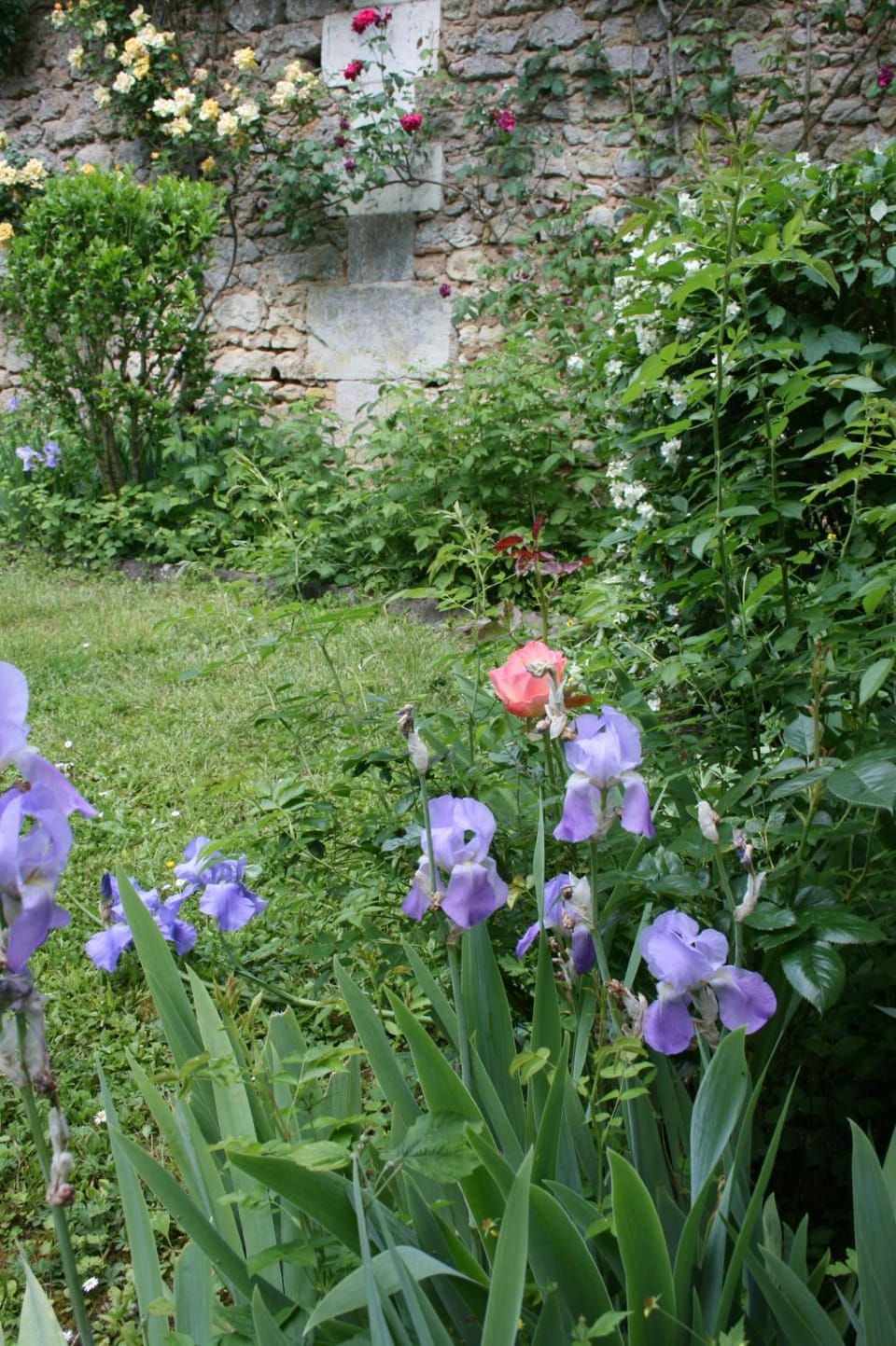 Ancien pavillon de chasse du château de Chaumont sur Loire House in Centre-Val de Loire