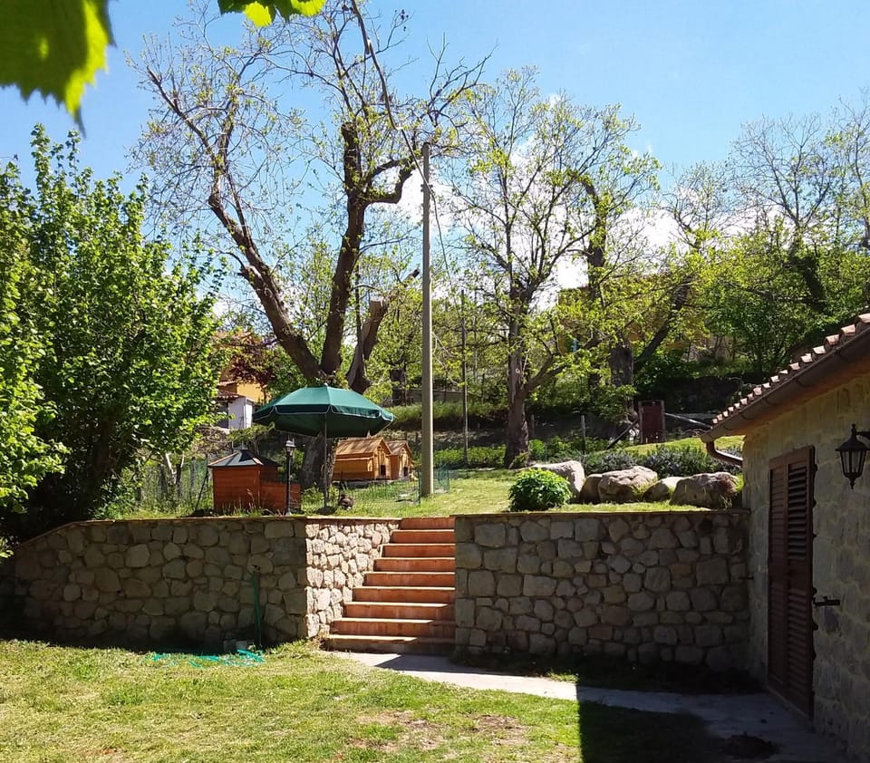 Spring, Natural landscape, Garden