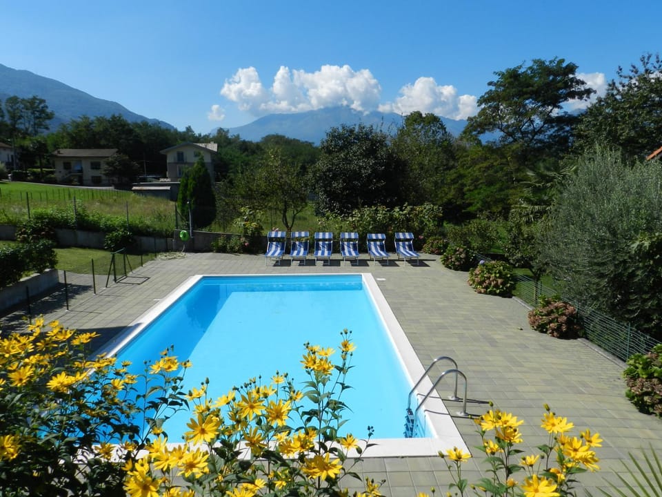 Pool view, Swimming pool