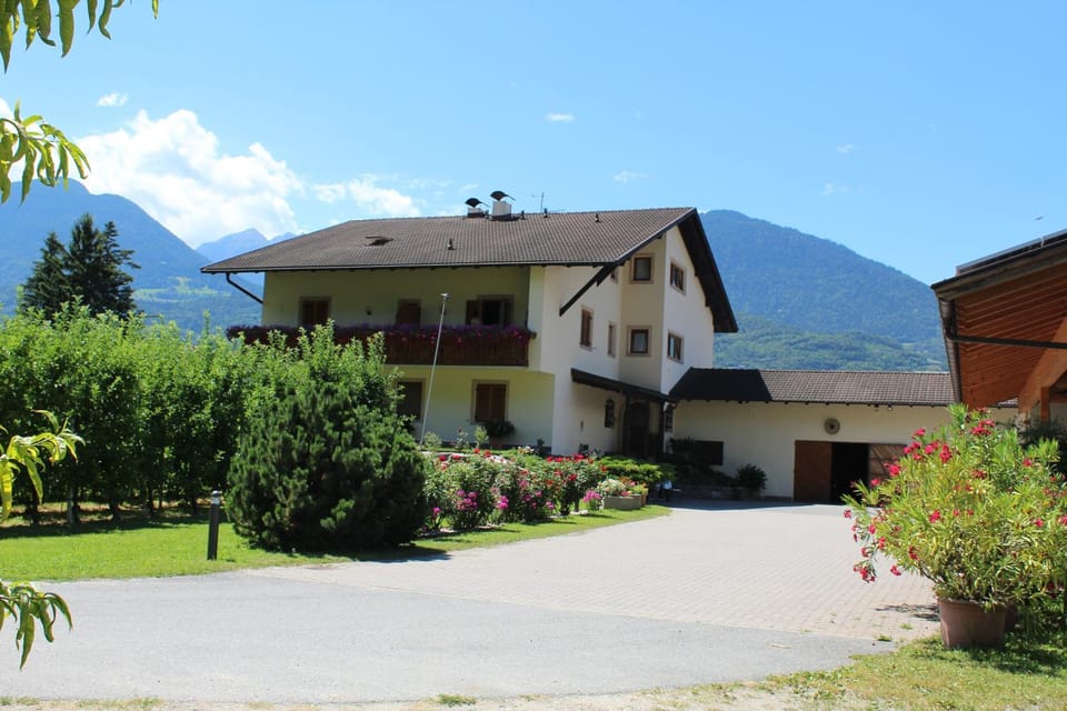 Property building, Day, Summer