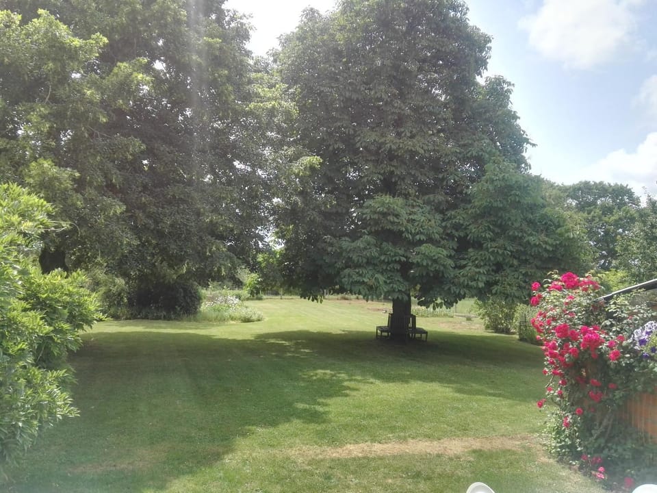 Garden, Garden view