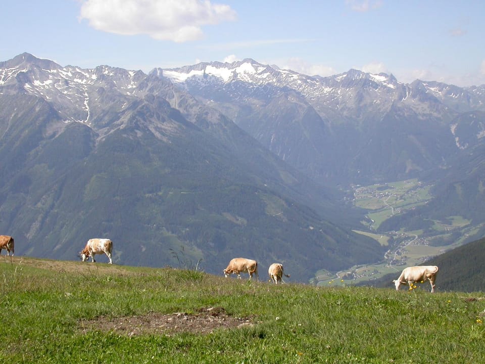 Day, Natural landscape, Summer, Hiking, Cycling, Location