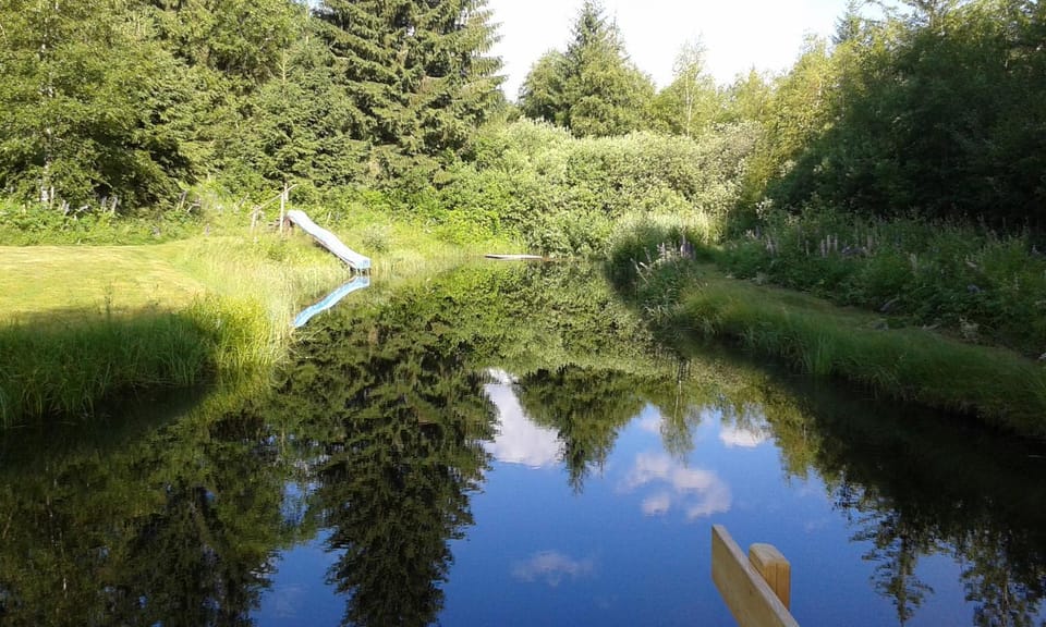 Garden, Swimming pool