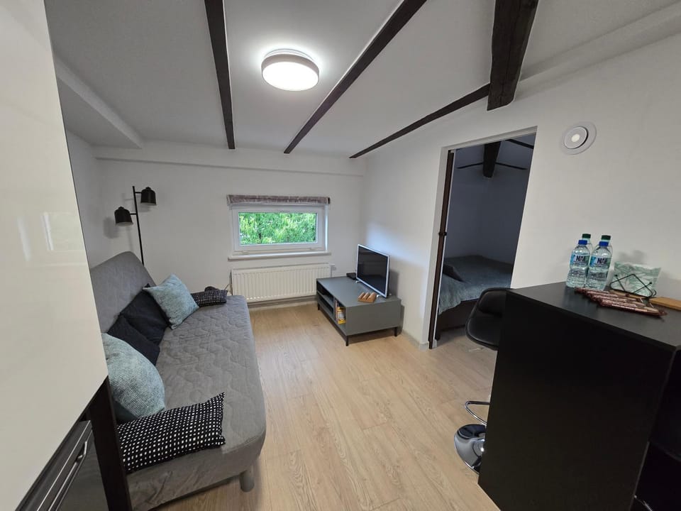 Holiday Flat - Attic Apartment Gdynia Oksywie Apartment in Pomeranian Voivodeship