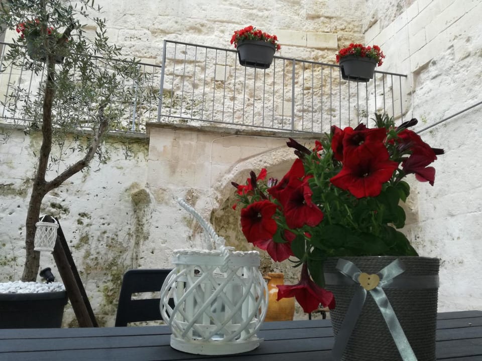 Patio, Balcony/Terrace