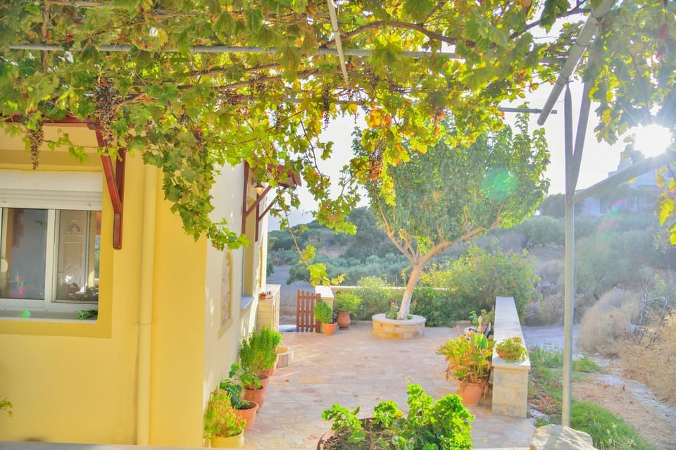 Facade/entrance, Garden view
