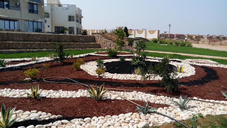 Area and facilities