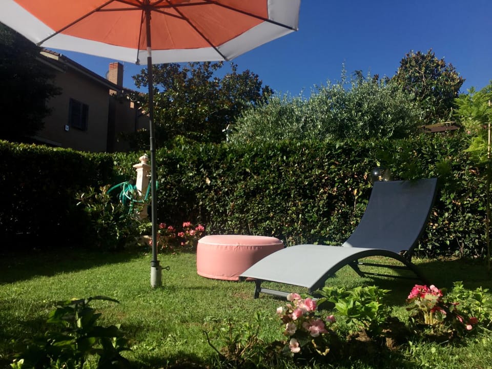 Day, Garden, Garden view, sunbed