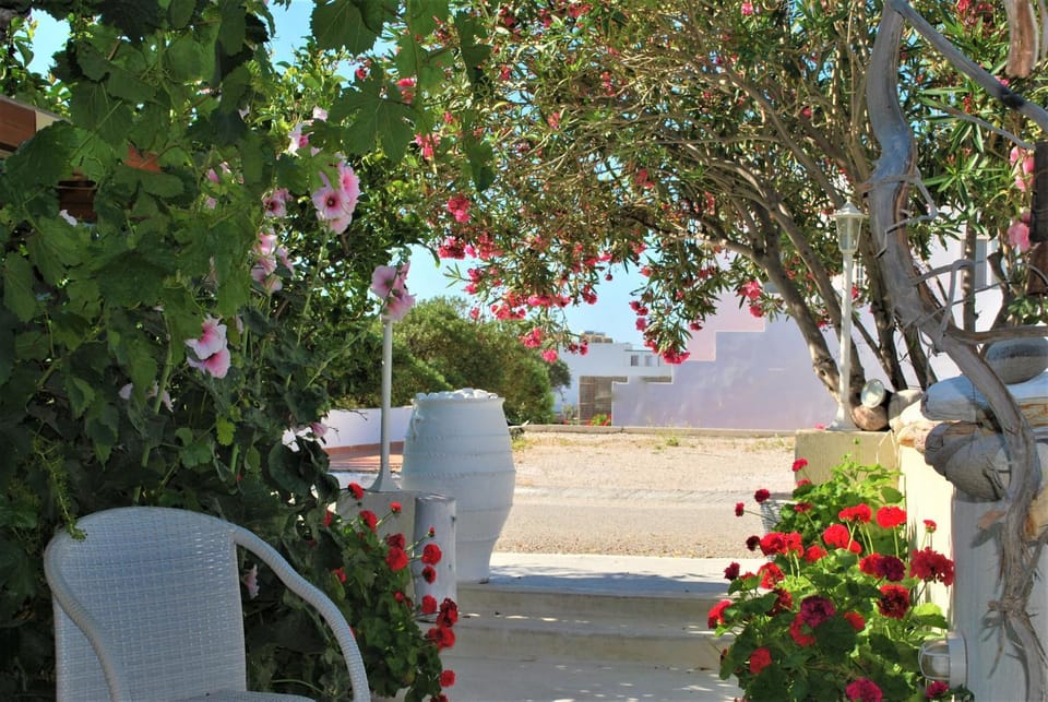 Deluxe Studios & Suites Ageri-Milos Apartment in Milos