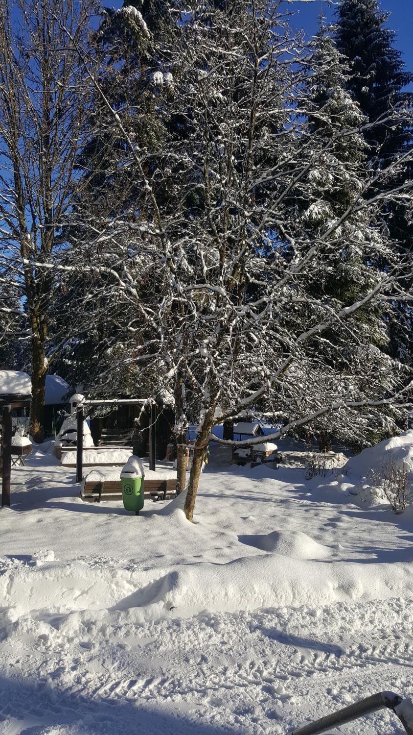 Winter, BBQ facilities, Garden, Seating area, On site