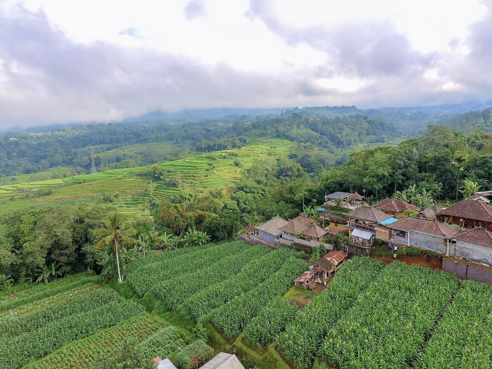 Spring, Day, Natural landscape, Bird's eye view
