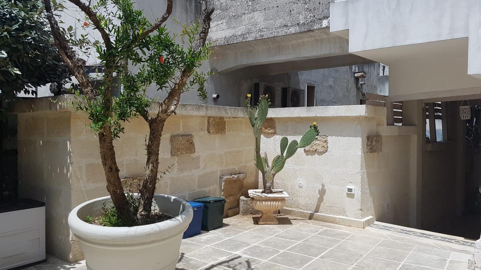 Patio, Garden view