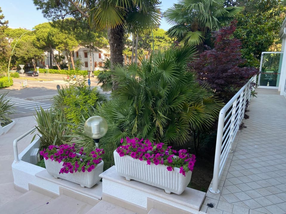 Property building, Patio