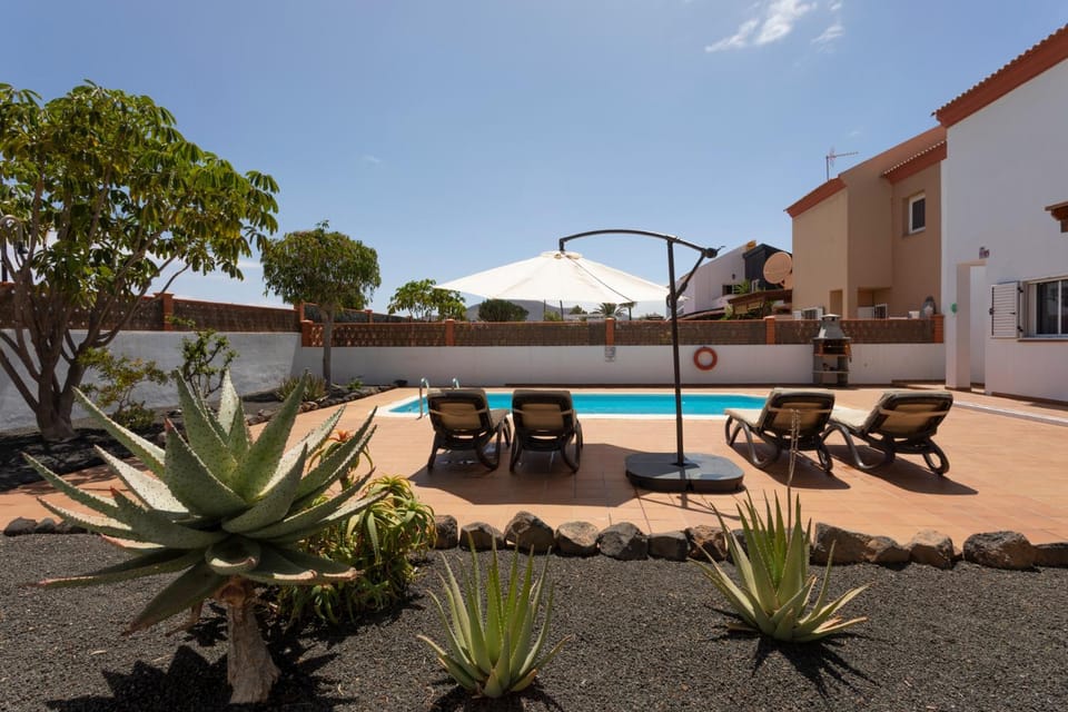 Garden, Garden view