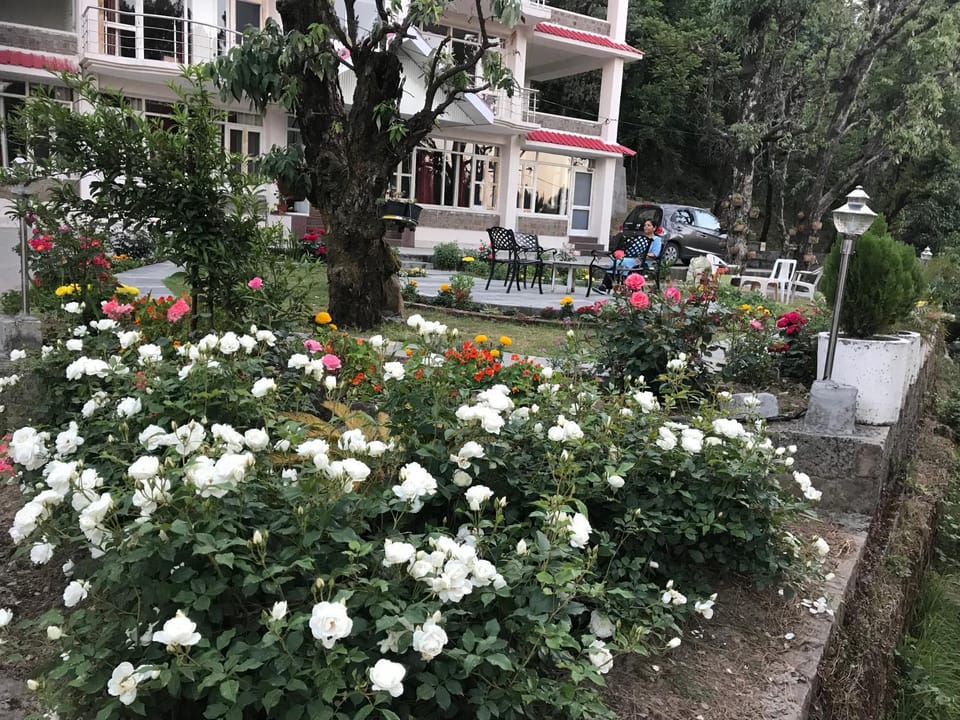 Satobari Greens Homestay Vacation rental in Himachal Pradesh
