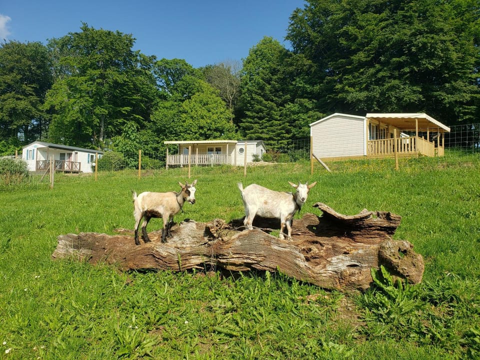 Camping Ushuaïa Villages de Pont Calleck Campground/ 
RV Resort in Brittany