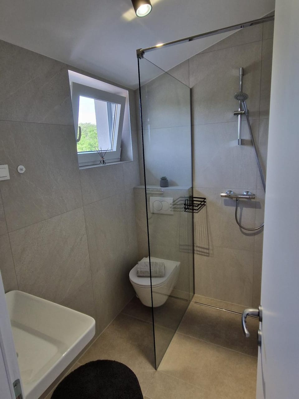 Shower, Toilet, Bathroom