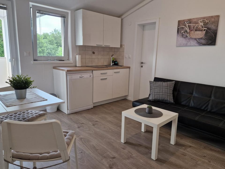 Kitchen or kitchenette, Living room, Seating area, Dining area, oven, stove