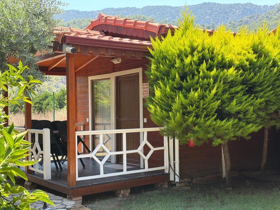 Property building, Patio, Day