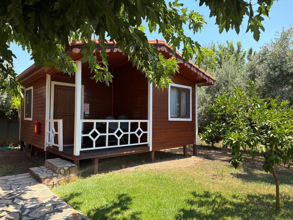 Property building, Day, Garden view