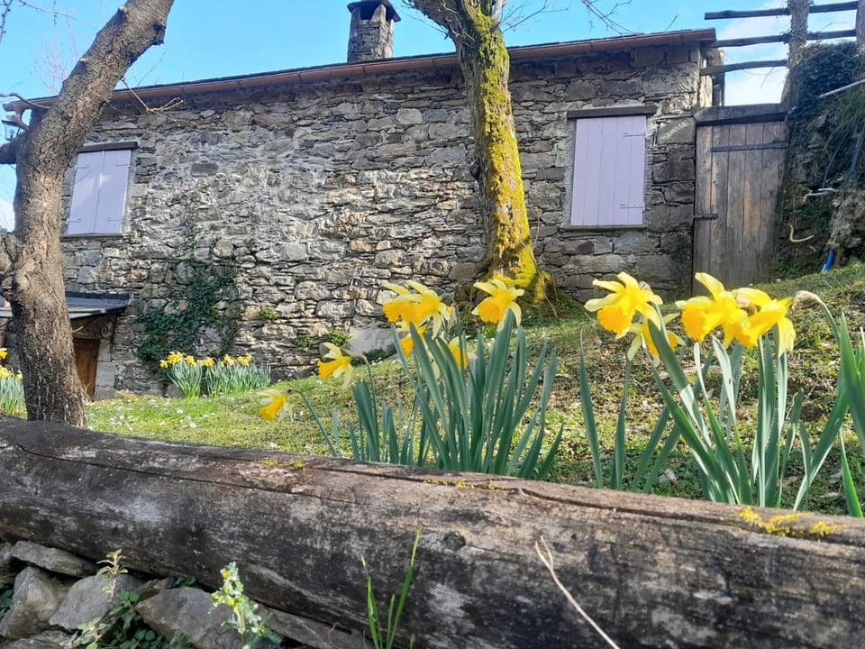 Casa Millin Apartment in Liguria