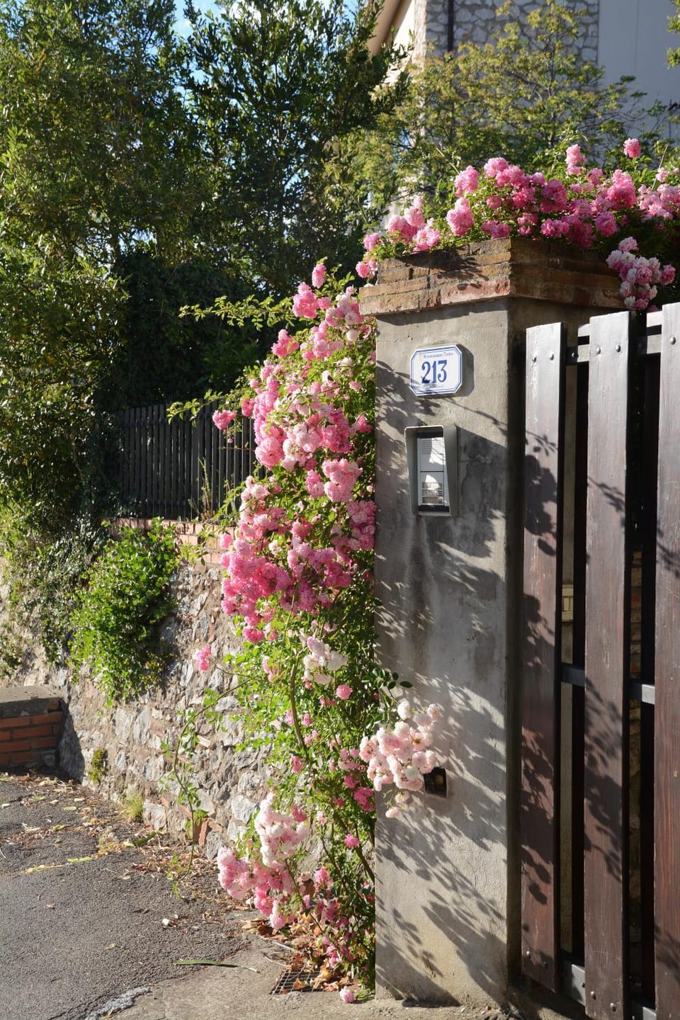 Casa1 House in Monsummano Terme