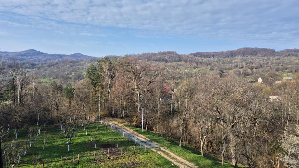Casa Dobrin Bed and Breakfast in Romania