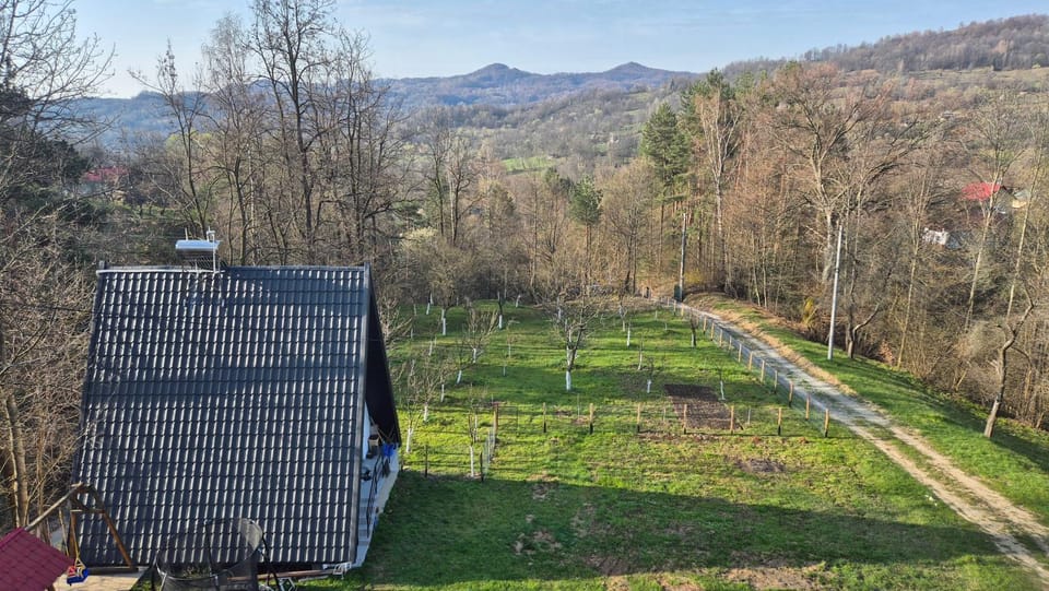 Casa Dobrin Bed and Breakfast in Romania