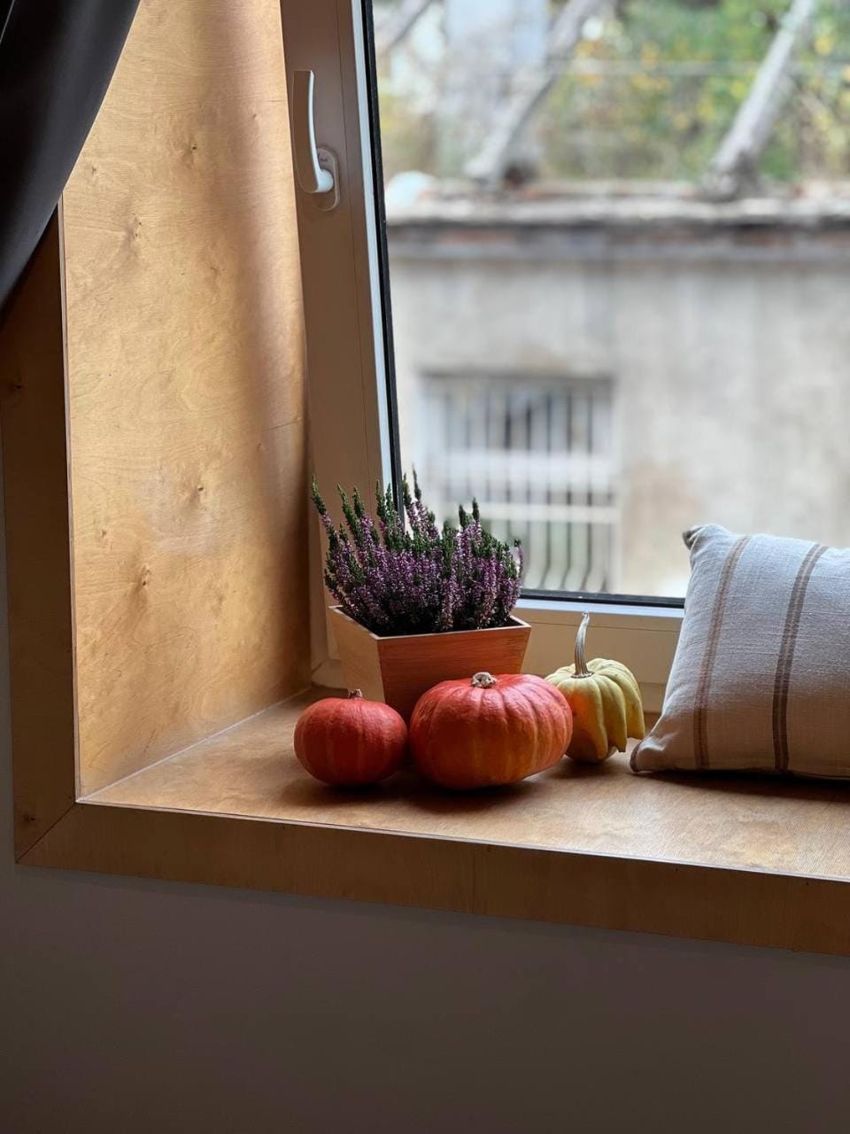 View (from property/room), Living room