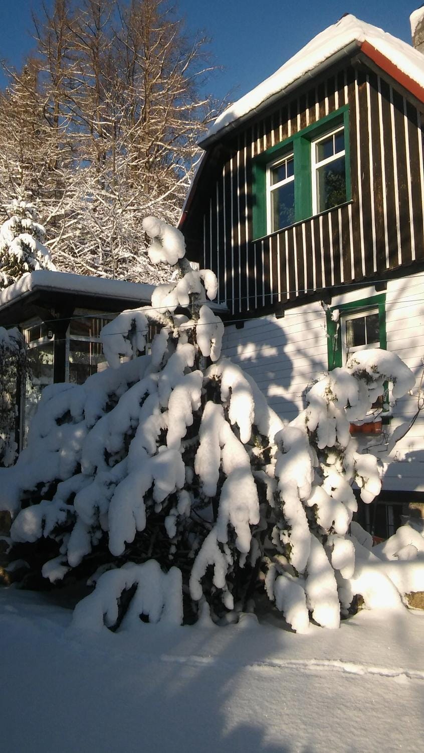 Property building, Day, Winter