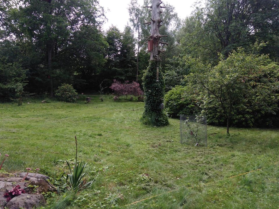 Garden view