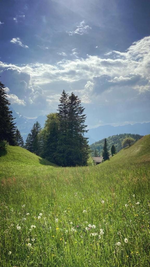 Spring, Day, Natural landscape, Mountain view