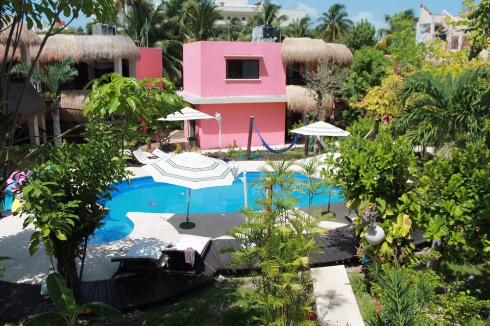 Bird's eye view, Swimming pool, Swimming pool