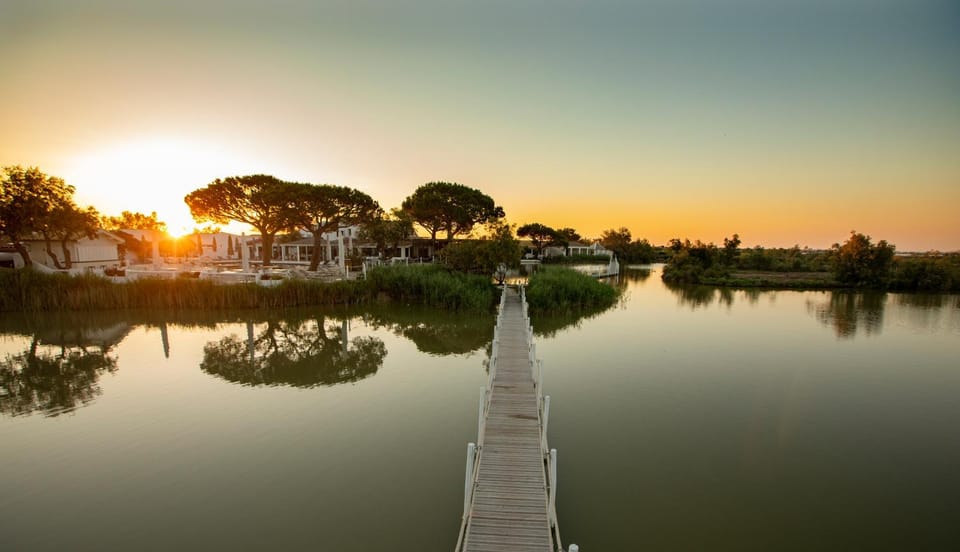 Natural landscape, Garden