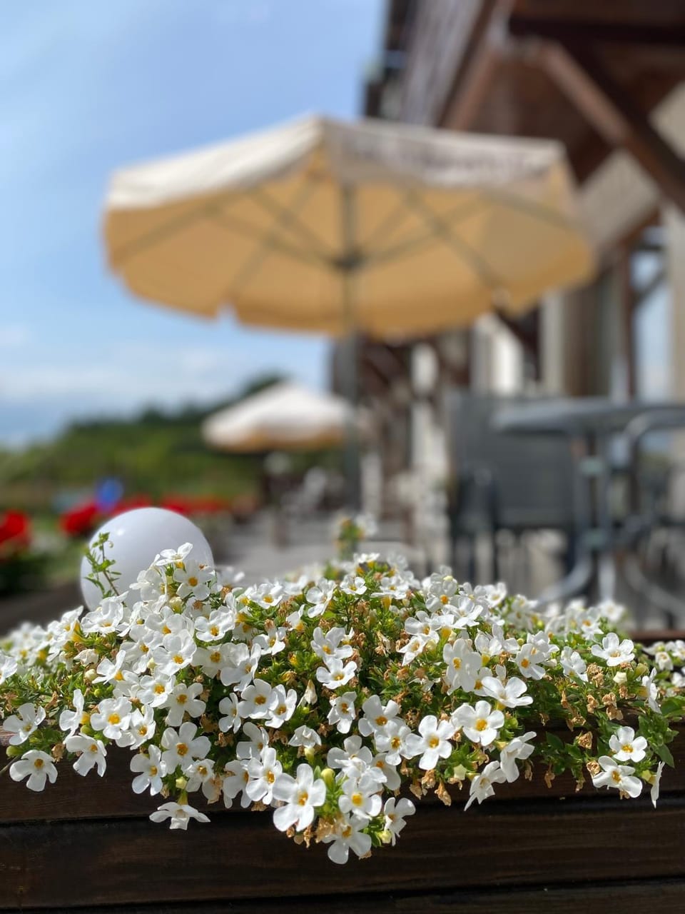 Lawendowa Willa Vacation rental in Pomeranian Voivodeship